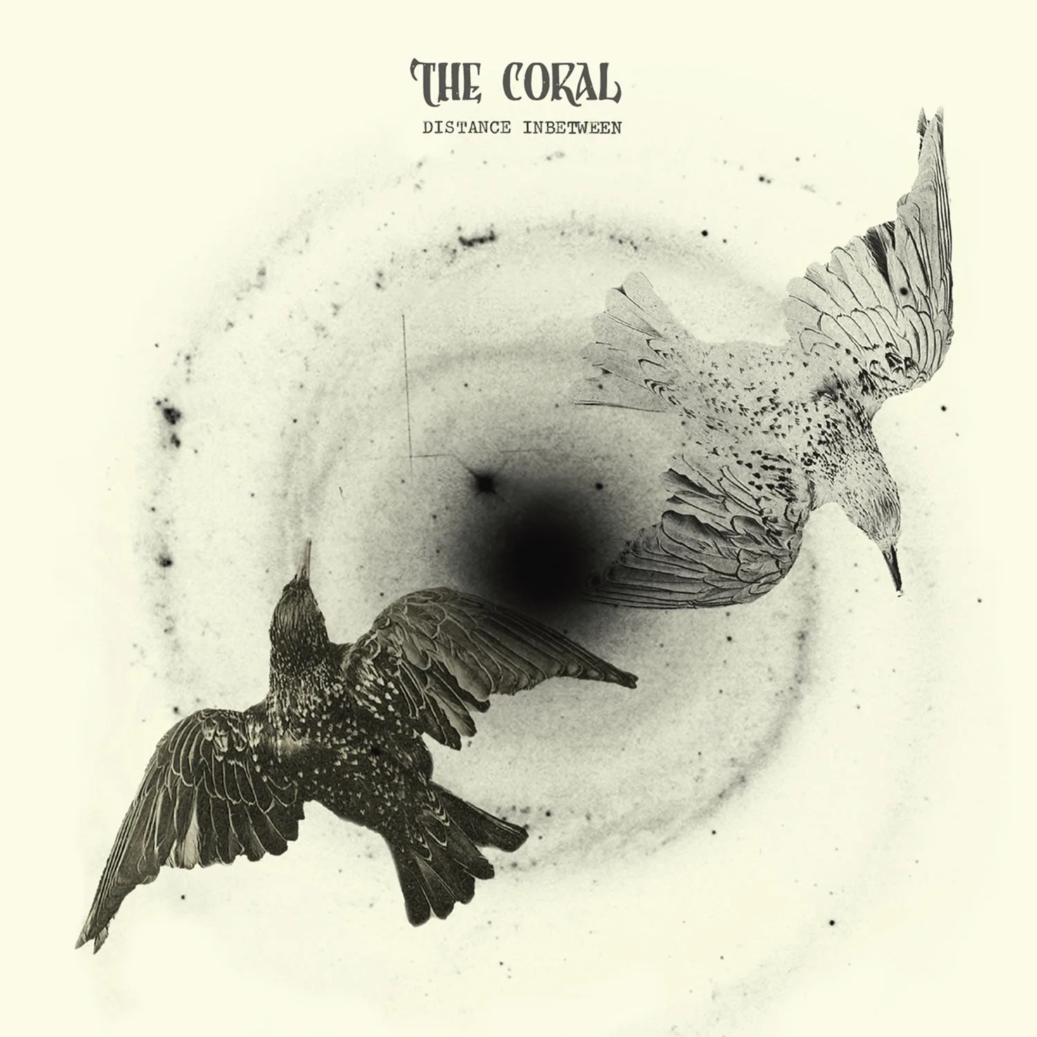 The Coral, Distance Inbetween